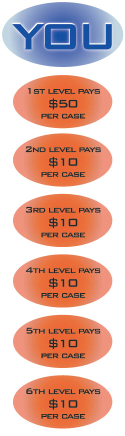 Comp Plan Example Comp Plan Example